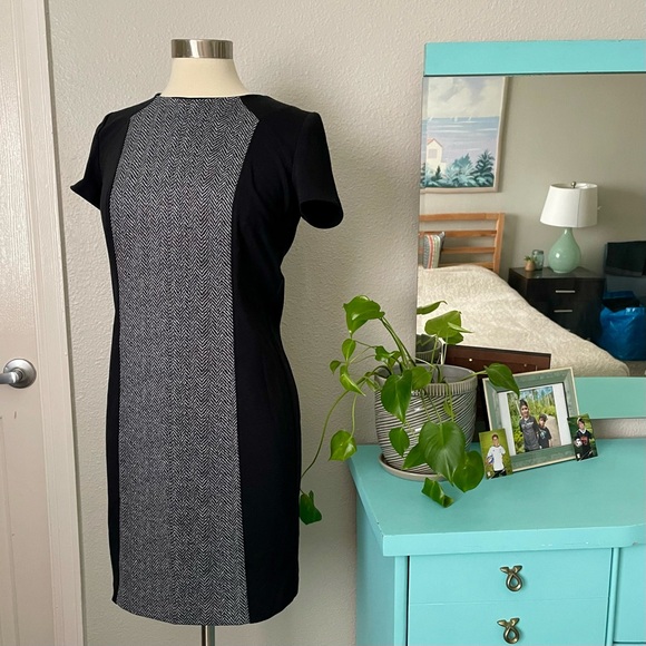 Michael Kors Black & Gray Color Block Flattering Sheath Dress 6 Business Career - Picture 2 of 12